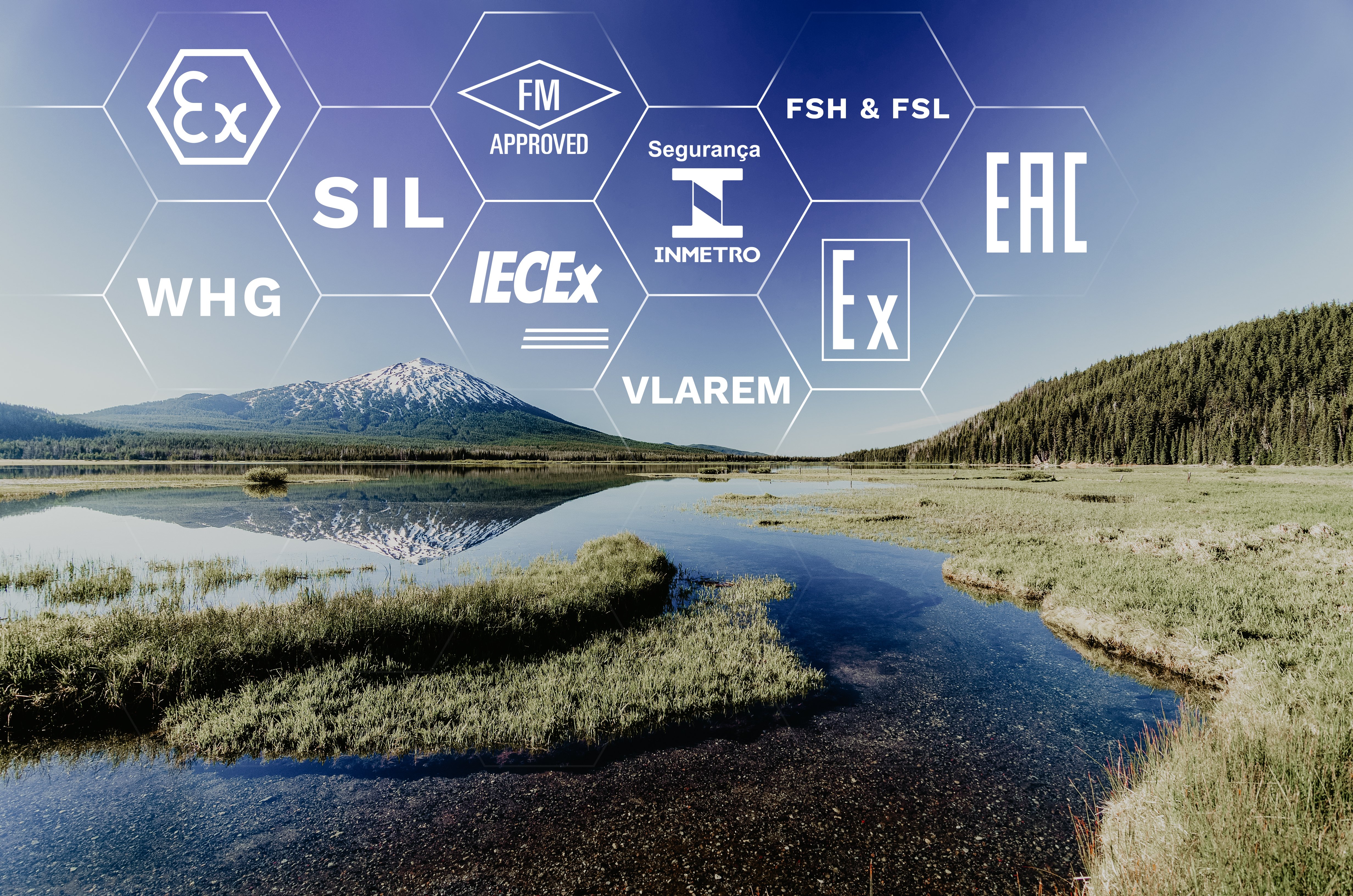 Seguridad y protección contra explosiones para medición de nivel