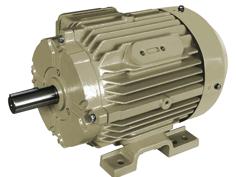 GE Motors (Wolong) Inverter Duty — Motores eléctricos