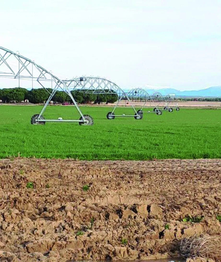Pivote de riego sobre un cultivo verde, con suelo recién preparado en primer plano